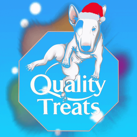 Dog Christmas GIF by Quality Treats Australia