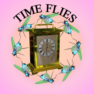 Time Flies GIF
