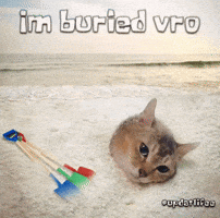 Mei Mei Vro GIF