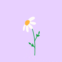 200.gif