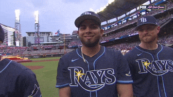 Tampa Bay Rays Sport GIF by MLB