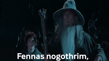 Lord Of The Rings GIF