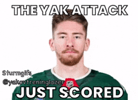 Minnesota Wild Hockey GIF