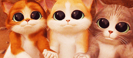 Cat Eyes animated GIF