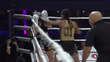 knockout GIF by GLORY Kickboxing