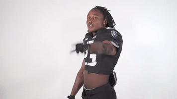 Monarchreign GIF by sgrubbs