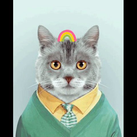 Rainbowcat GIF