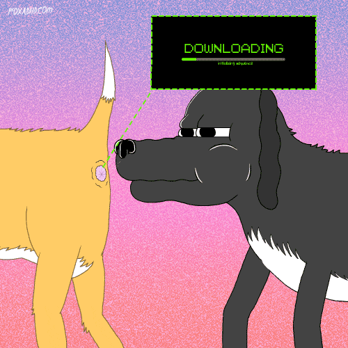 Download Doge Gifs - Colaboratory