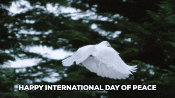 World Peace Love GIF by ConEquip Parts