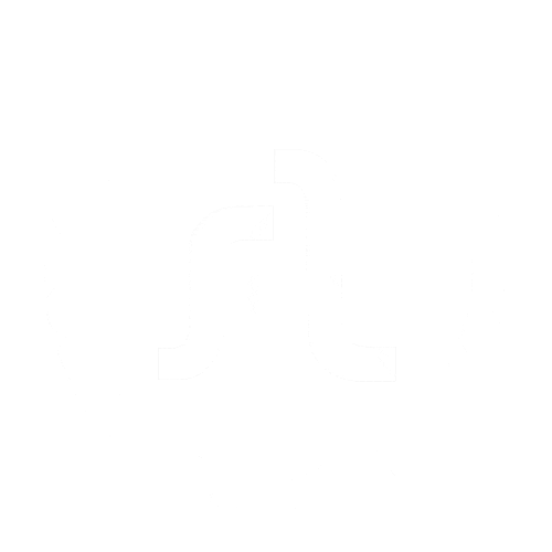 astropolis Sticker