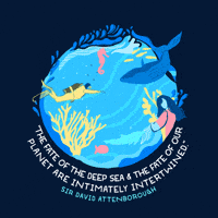 June 8 Environment Sticker By World Ocean Day For Ios Android Giphy June 8 Environment Sticker By World Ocean Day For Ios Android Giphy