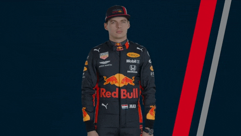 Are you the fan of Max Verstappen