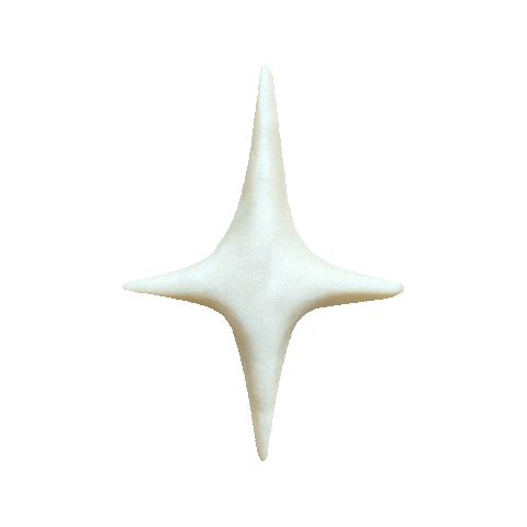 Christmas Star Sticker