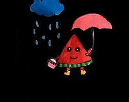Watermeloen GIF by Kunstkwartier