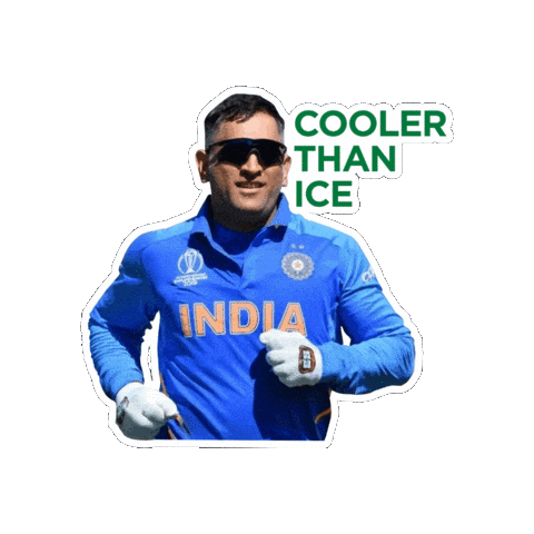Garnier x Dhoni Sticker