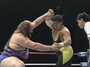 Wrestling GIF