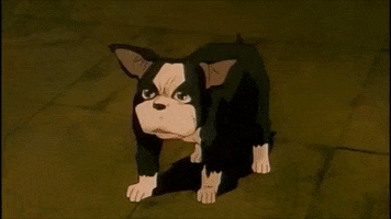 Animated GIF