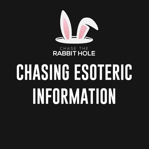 Rabbit GIF