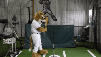 your cougars ozzie t cougar GIF by Kane County Cougars
