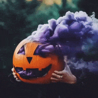 Jack O Lantern Halloween GIF by MOODMAN