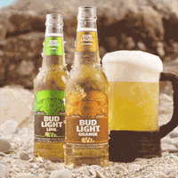 scared cold beer GIF by Bud Light