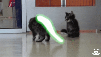 Save Them All Star Wars GIF by Best Friends Animal Society