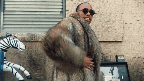 Anderson .Paak's Venice and Aria: The Animation: The Serenity of Venice