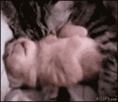 safe and sound love GIF