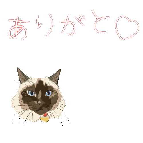 Cat Sticker