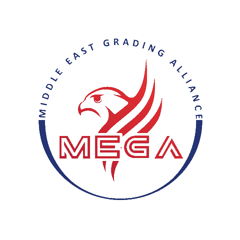 Megagrading Sticker by MEGA