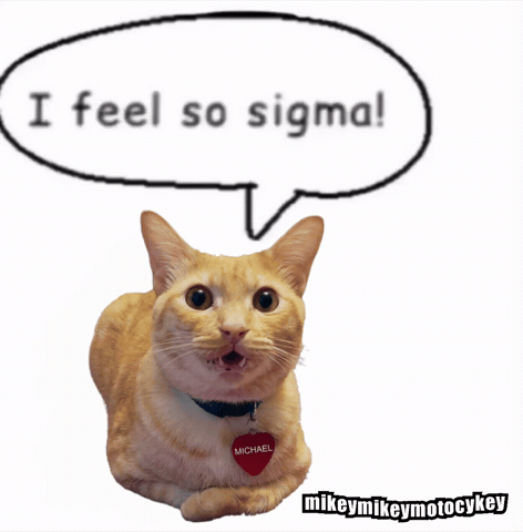 Sigma Funny Cat GIF