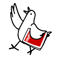 Pittsburgh City Paper Sticker