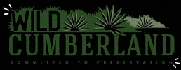 Cumberlandislandnationalseashore GIF by Wild Cumberland