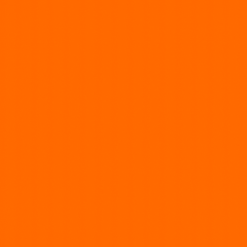 Laranja GIF by Seara