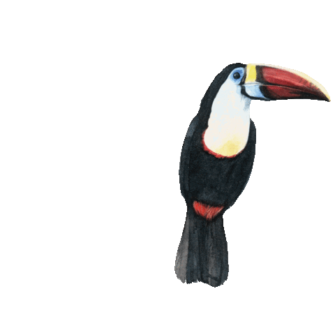 Bird Sticker by Bebado Beer