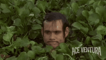 Awkward Jim Carrey GIF by Ace Ventura