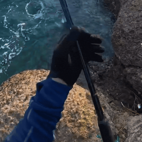 Fish Fishing GIF