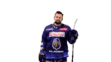 Hockey Hokej Sticker by Rytíři Kladno