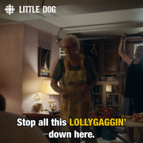 little dog comedy GIF by CBC