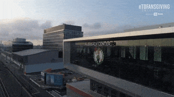 GIF by Boston Celtics