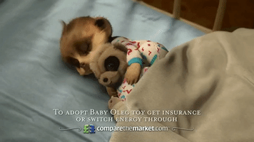 Good Night Baby Oleg GIF
