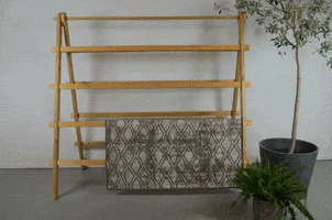 Vloerkledenloods GIF