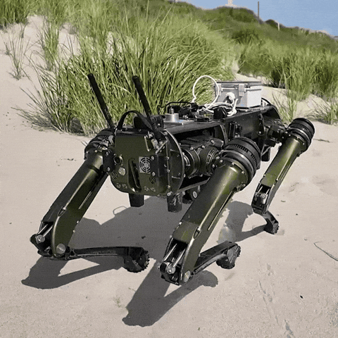 Us Army Dancing Dog GIF by GoArmy