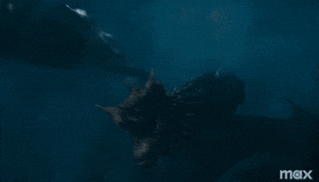 Dragon Teamblack GIF by Game of Thrones