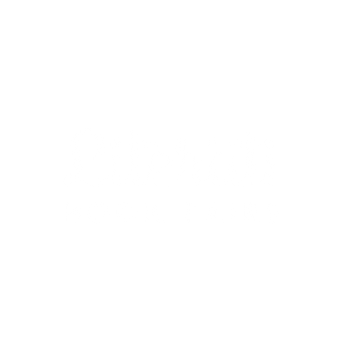 Book Fair School Sticker by Literati