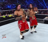 world wrestling entertainment