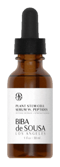 Biba Los Angeles Sticker