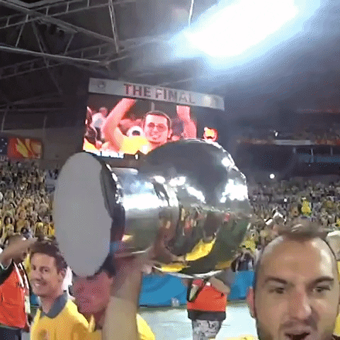 Happy Asian Cup GIF by Football Australia