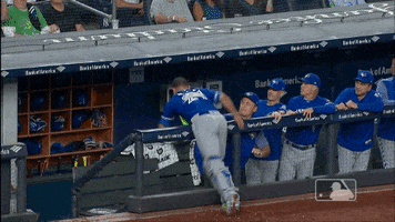 sport catches GIF by MLB