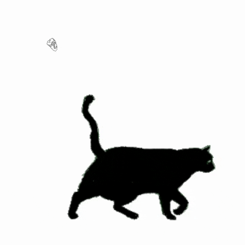 black cat animation GIF by Hilbrand Bos Illustrator